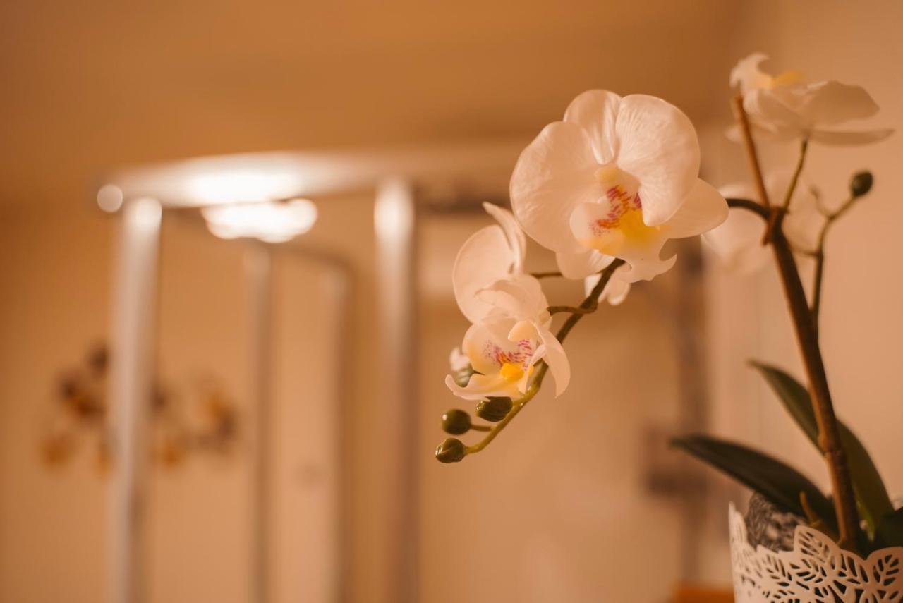 Apartment Hainfeld Luaran gambar